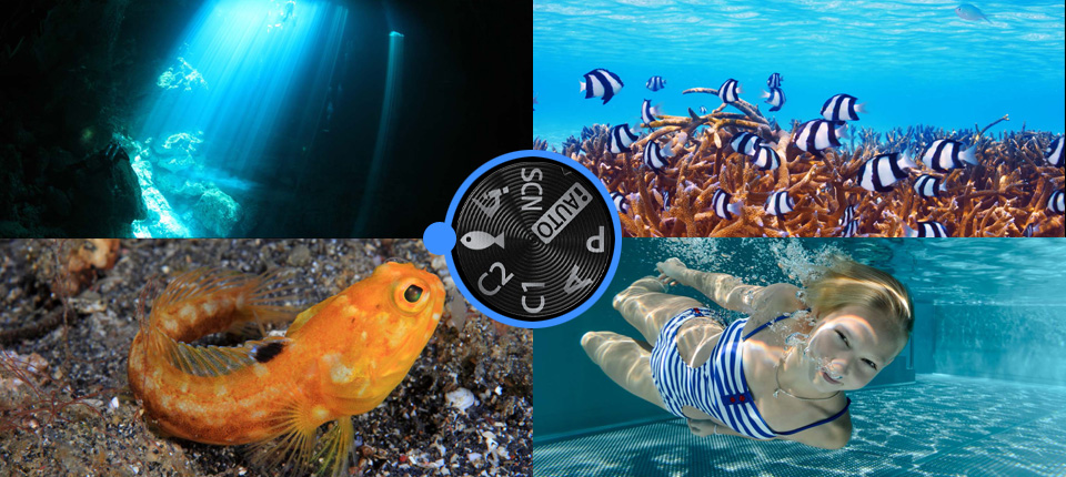 Olympus台灣總代理元佑實業